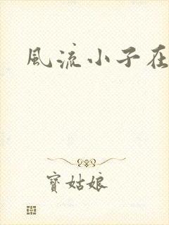 风流小子在异世