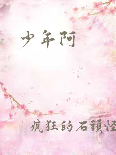 少年阿