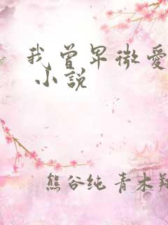 我曾卑微爱过你 小说