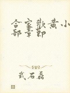 合家欢黄小梅全部章节