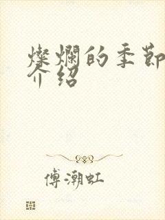 灿烂的季节剧情介绍