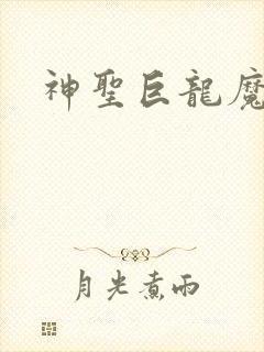 神圣巨龙魔法师