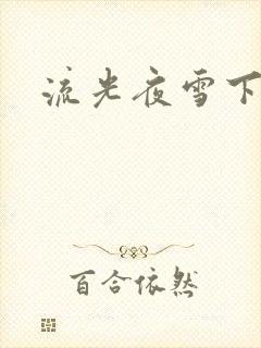 流光夜雪下载
