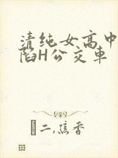 清纯女高中生沦陷H公交车