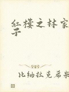 红楼之林家庶长子