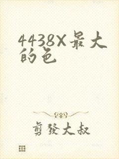 4438X最大的色
