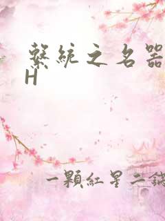 系统之名器勾男H