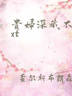 贵妇深藏不露txt