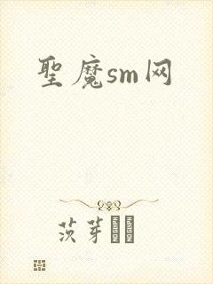 圣魔sm网