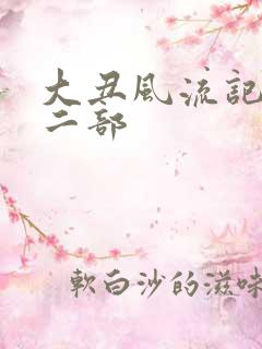 大丑风流记 第二部