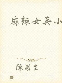 麻辣女兵小说版