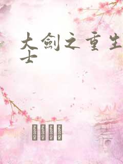 大剑之重生圣骑士