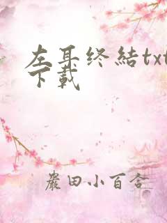 左耳终结txt下载