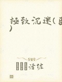 极致沉迷(臣年)