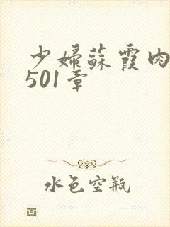 少妇苏霞肉欲第501章