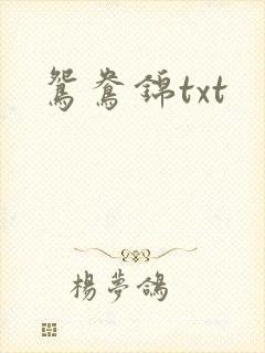 鸳鸯锦txt