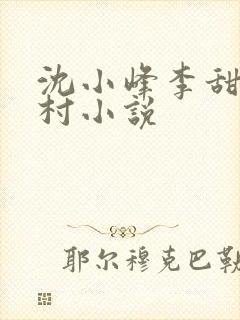 沈小峰李甜的乡村小说