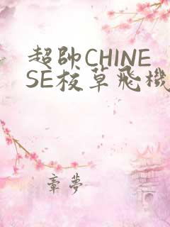 超帅CHINESE校草飞机BLUE