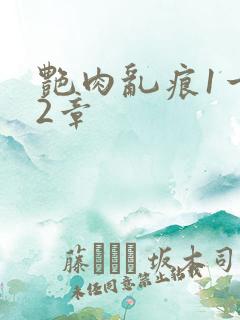 艳肉乱痕1一12章