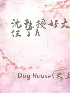 沈教授好大含不住了h