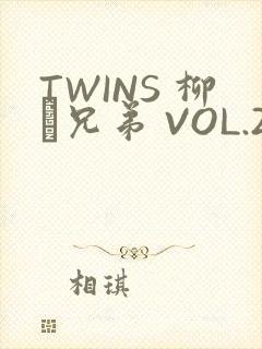 TWINS 柳澤兄弟 VOL.2