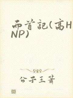 面首记(高H NP)