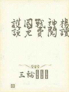 护国战神杨风小说免费阅读