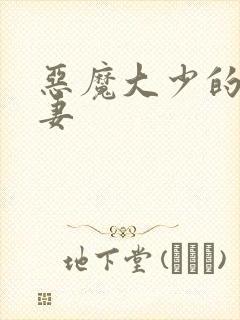 恶魔大少的小鲜妻