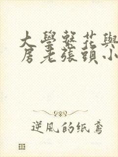 大学系花与锅炉房老张头小说