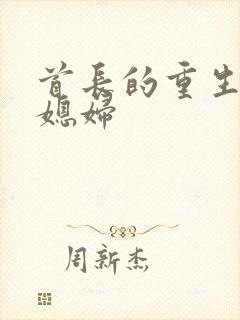 首长的重生宝贝媳妇