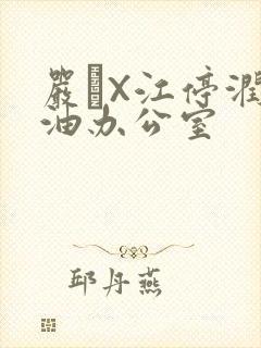 严峫X江停润滑油办公室
