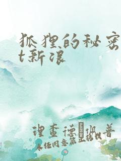 狐狸的秘密txt新浪