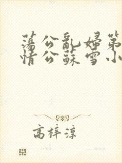 荡公乱妇第1章情公苏雪小说