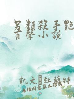 另类杀手艳福星有声小说