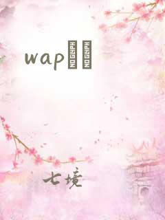 wapС˵