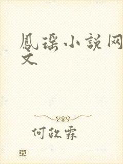 凤瑶小说网高辣文