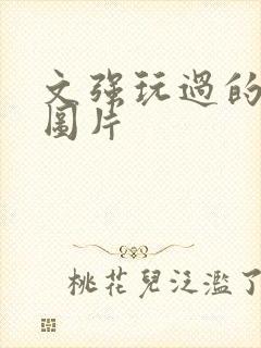 文强玩过的女人图片