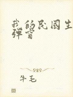 我的民国生涯无弹窗