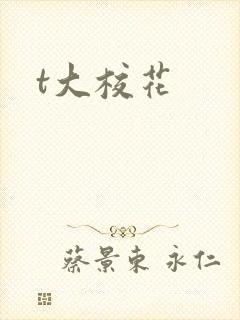 t大校花