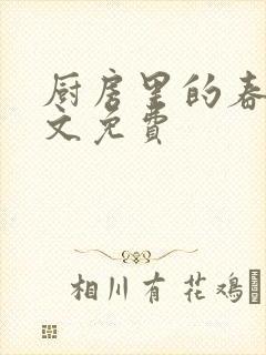 厨房里的春天全文免费