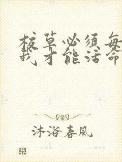 校草必须每天吸我才能活命[穿书]