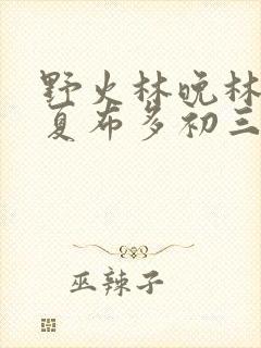 野火林晚林潮生夏布多初三边缘