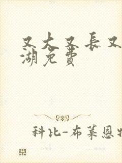 又大又长又租高湖免费