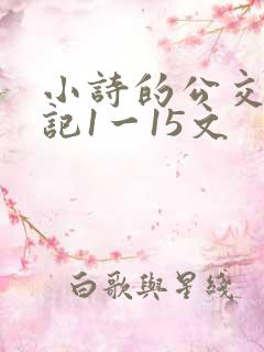 小诗的公交车日记1一15文