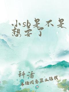 小sb是不是又想要了