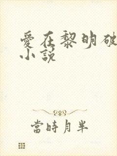 爱在黎明破晓前小说