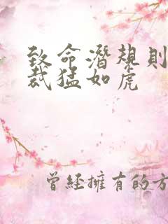 致命潜规则 总裁猛如虎