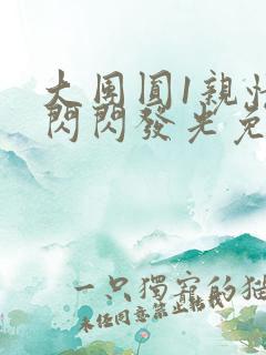 大团圆1亲情会闪闪发光免费