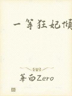 一等狂妃倾天下