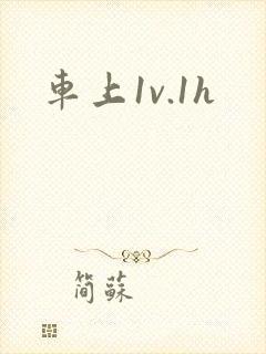 车上1v.1h